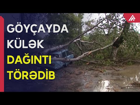 Video: Sabahkı gün tufana nə səbəb oldu?