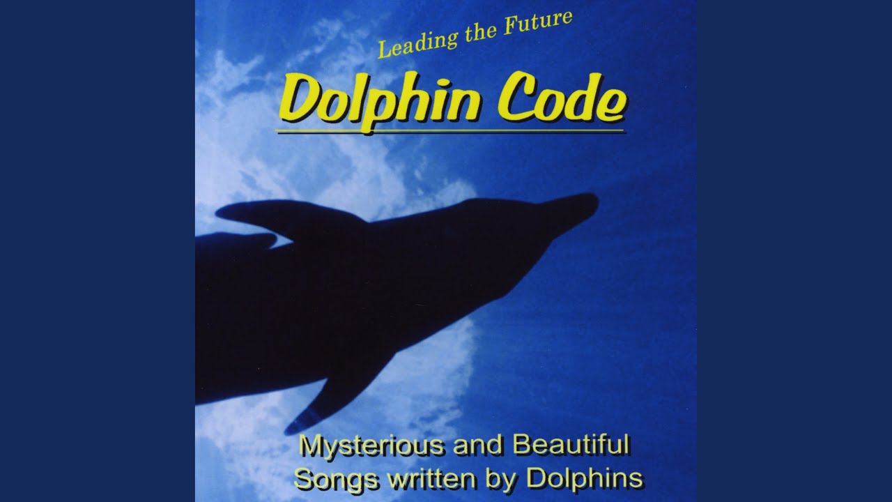 Experience - from Dolphin Contact CD