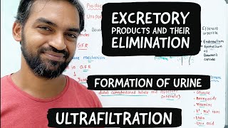 Urine formation | Ultrafiltration | Excretory products and their elimination