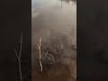 Плотва топит поплавки,идет на ура #fishing #море #рыбалка #весна