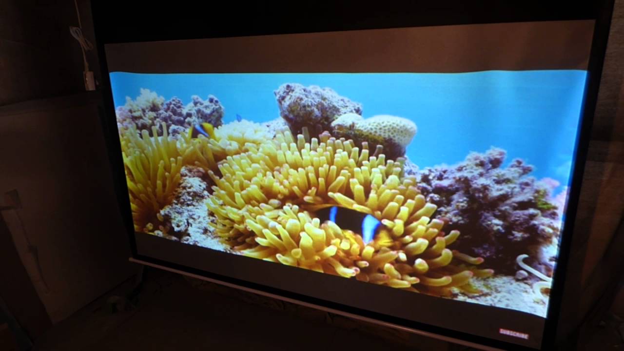 CRYSTAL EDGE TECHNOLOGY MOTORIZED 100" 16:9 PROJECTOR SCREEN IS HERE!