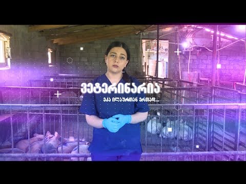 \"ვეტერინარია\"  - აგროTV