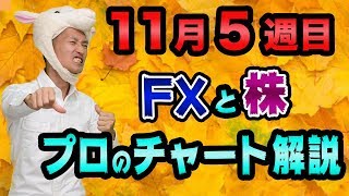 桜を見る会や沢尻エリカさん逮捕、芸能人結婚の「裏」にあるモノ【FXドル円と日経平均のチャート解説】アップルとアマゾン株価