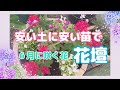 🌹【花壇植え付け】三週間後の姿がこちらです/６５０円花壇再び😅/６月咲く花 とデザインされた花壇