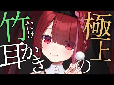 【ASMR/3Dio】耳壁に付いた耳垢をカリカリ。竹耳かきで耳掃除。睡眠┆囁き┆Earcleaning┆Whispering┆Vtuber【星めぐり学園/切熊ゆに】