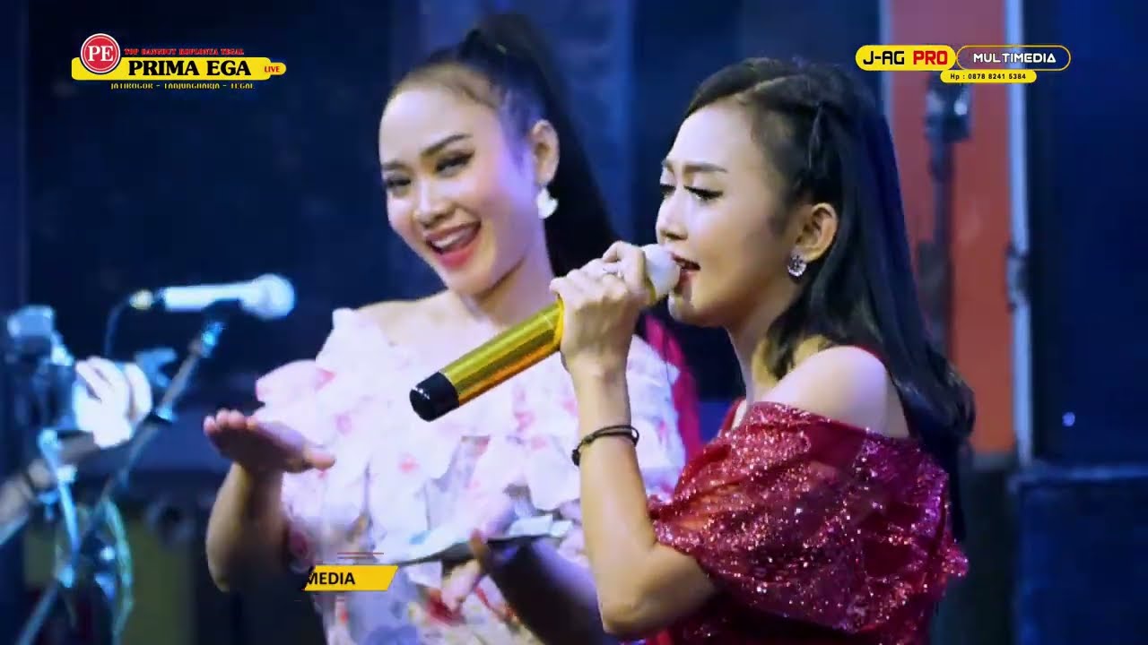 MANUK DARA SEPASANG - RINA AHFANDI 