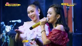 MANUK DARA SEPASANG - RINA AHFANDI 