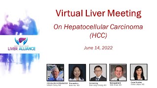 Virtual Liver Meeting on Hepatocellular Carcinoma