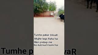 tumhe pakar dilbar mujhe laga raha hai #song #love #song #new #song #love #song #love # shankar