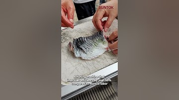 Fish slicer machine for snakehead