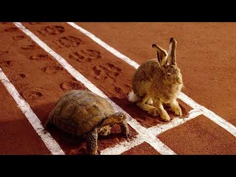 რა არის შენი გენ გეგმა!