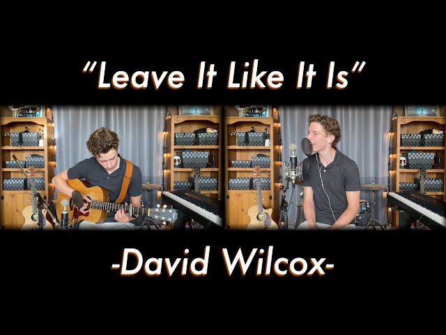 Leave It Like It Is - David Wilcox - Cover | Blake's Juke Box class=