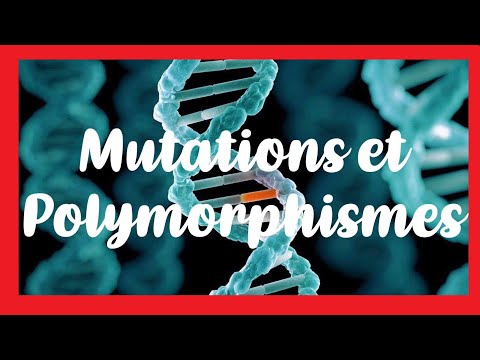 Vidéo: Équilibrer La Sélection Et Les Polymorphismes Trans-spécifiques