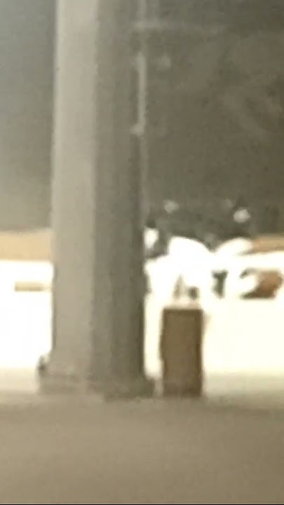 #at diriyah horse riding Riyadh - YouTube