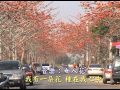 玫瑰人生 - 該你多少在前世  如何還得清