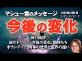 【マシュー君】1月のメッセージ/神の挨拶、謎のドローン、今後の変化、動物たち、ボランティア、肉体の世界と霊界の違い