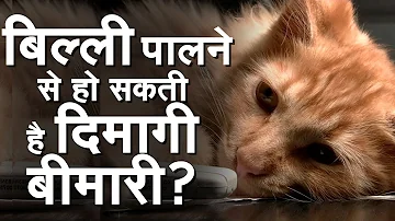 बिल्ली पालने वाले सावधान! हो सकती है ये मानसिक बीमारी?| Cat | TGondii