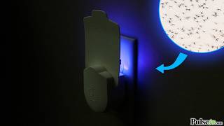 Indoor Plugin Flying Insect Trap with 10 Refill Pads: No more pests!