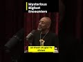 Mysterious bigfoot encounters