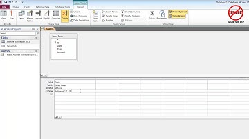 The Delete Query in Microsoft Access