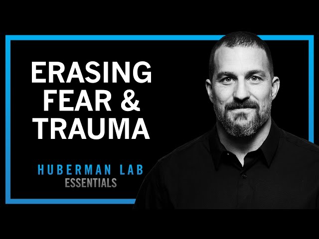 Thumbnail for Erasing Fears & Traumas Using Modern Neuroscience | Huberman Lab Essentials