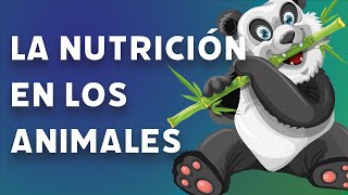 La nutrición en los animales. #videolección 1º de eso