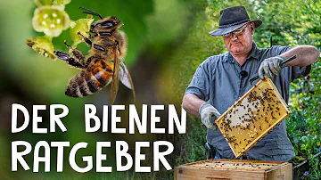 Wie oft muss man sich um Bienen kümmern?