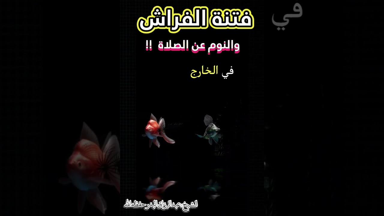 كثير من الناس من يسقط في فتنة الفراش وينام عن الصلاة خصوصا في الشتاء || للشيخ عبدالرزاق البدر