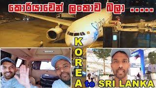 Korean up to srilanka | කොරියාවේ සිට ශ්‍රී ලංකාවට | korean exam 2023 | srilankan airline