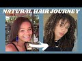My Natural Hair Journey (No Big Chop) | Relaxed, Heat Damaged, Transitioning, to Long & Healthy 2021