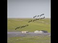 هاضني يوم اعدي المرحوم عبدالرحمن السلوم اداء ابوفيصل الخالدي 
