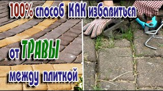 ➤100% способ КАК избавиться от травы между плиткой ➤ ТРАВА НА ДОРОЖКАХ МЕЖДУ ПЛИТОК