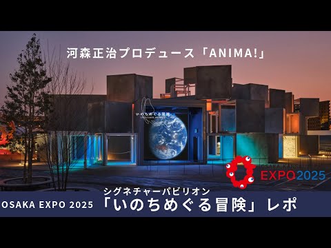 大阪万博2025 シグネチャーパビリオン「いのちめぐるパビリオン」 レポ