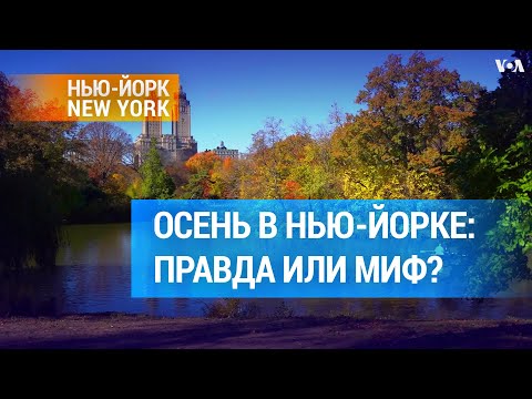 Видео: Лучшие места, чтобы увидеть осеннюю листву в Нью-Йорке