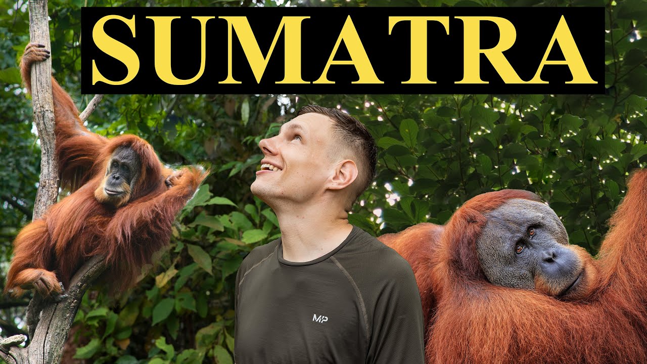 30 VAL. SUMATROS DŽIUNGLĖSE I Orangutanų paieškos, NAKTIS prie upės ir raftingas