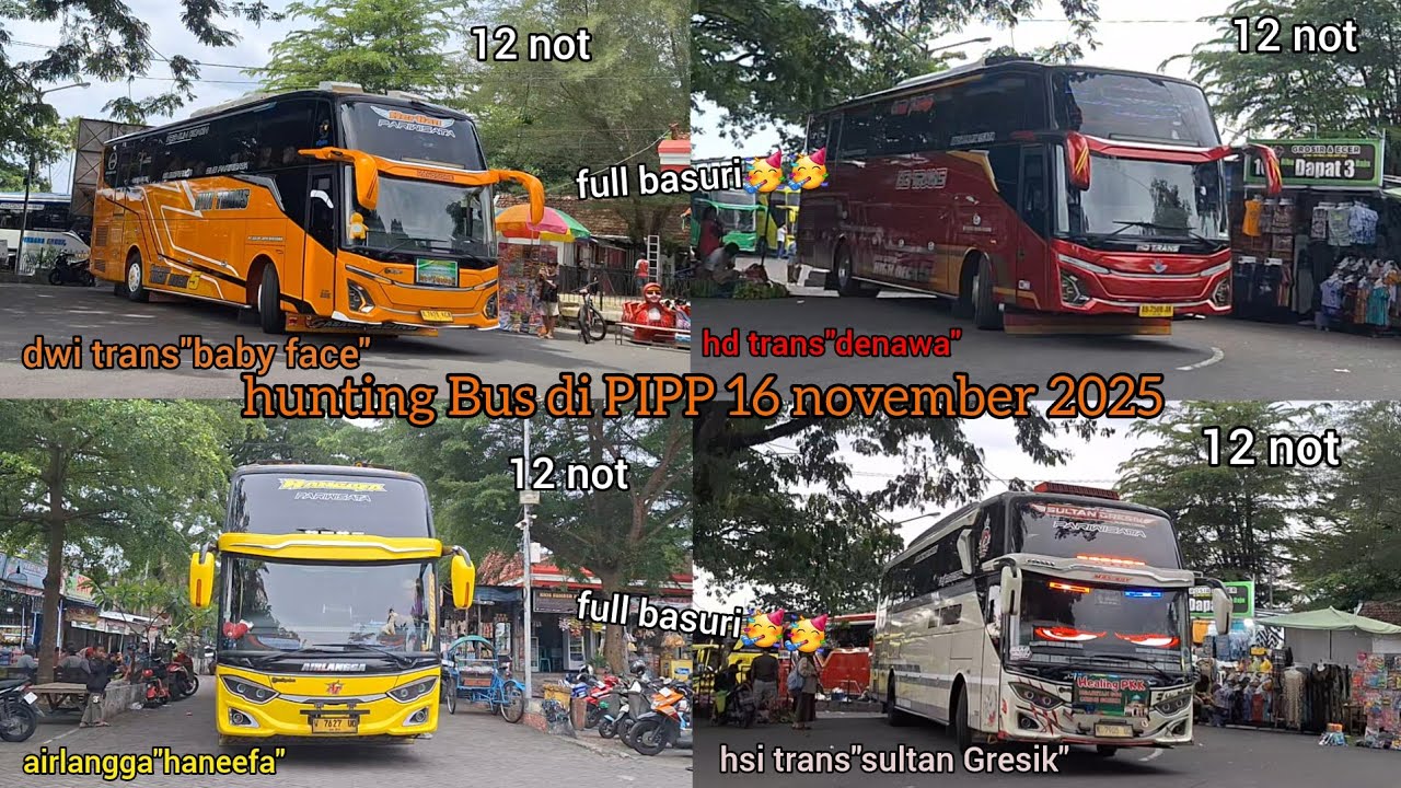 hunting Bus di PIPP 16 november 2025.full basuri🥳🥳