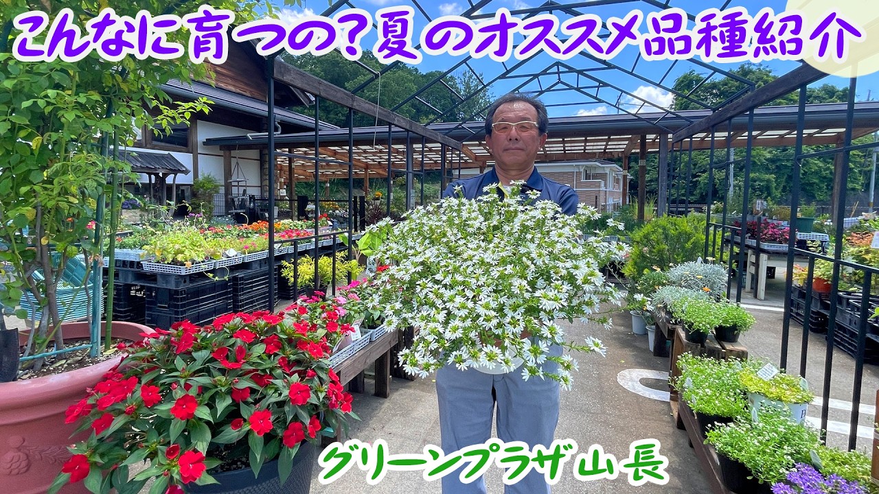 グリーン プラザ 山 長