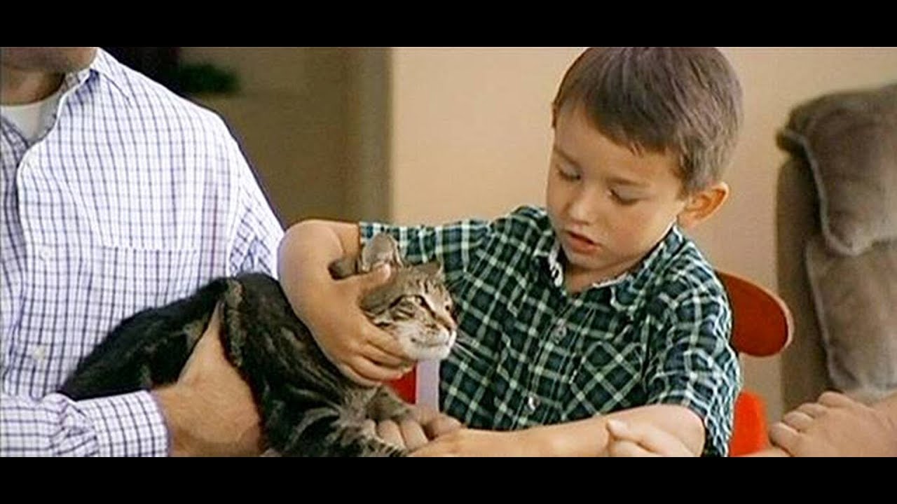 Las nuevas aventuras de Tara, la gata heroína