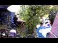 Roy Bohlen Livecam@Biergarten Gasthof Hirsch-Bayreuth