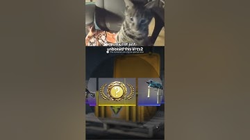 Cat unboxed a knife in CS2