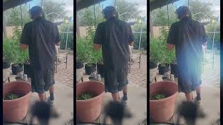Indoor to Outdoor & Greenhouse Harvest PRE 2026 VIDEOS