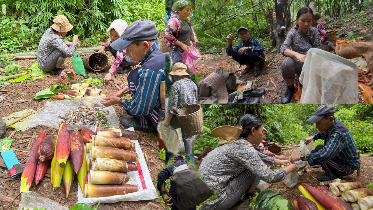 We go to find vegetables at forest 🌳 #vegetables #food #catchingfish #animals #funny #wildlife 