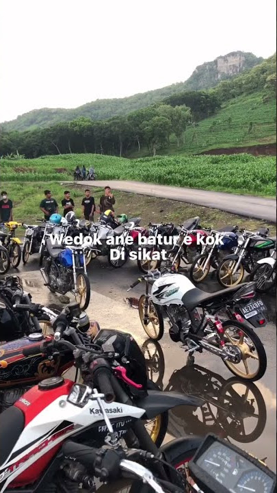 story'wa herex trondol terbaru || herex tiktok viral tiger herex #herex #storywa #tiktok