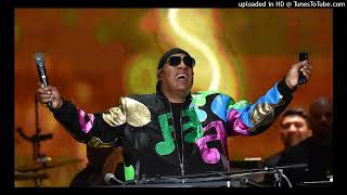 Stevie Wonder - All I Do (White Label Remix)