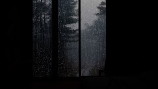 Sleep Well In Dark | Crazy Rain On Forest Window to Sleep and Relax