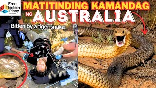 MAKAMANDAG na ahas ng AUSTRALIA | Dangerous Snakes of Australia by Free Thinking Pinoy 109,777 views 9 days ago 8 minutes, 59 seconds