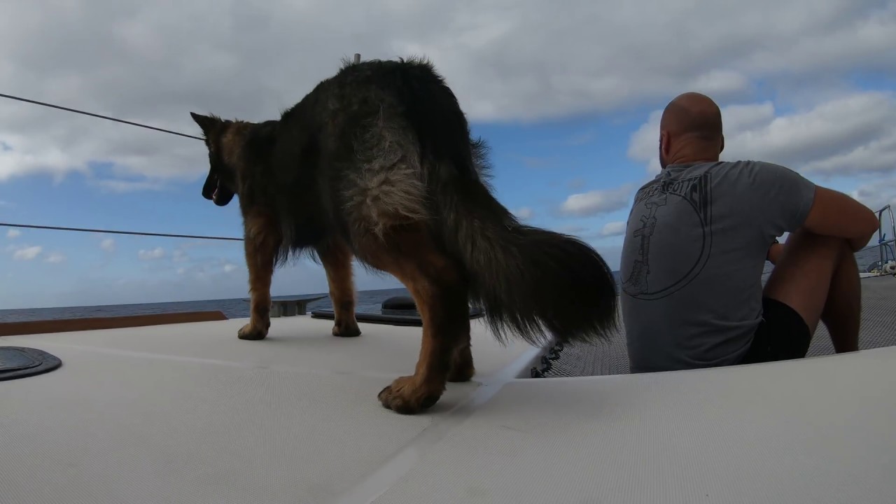 Madiera to Alcacdeisa on Neel 51 Trimaran 2019