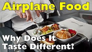 Why Airplane Food Tastes Weird - There's a Scientific Reason!