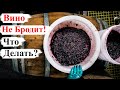 Вино НЕ БРОДИТ! Что ДЕЛАТЬ?