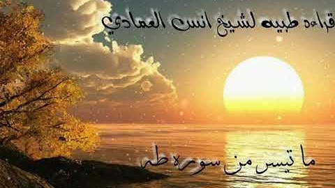 تلاوه خاشعه للشيخ انس العمادي ( ما تيسر من سورة طه) 💙